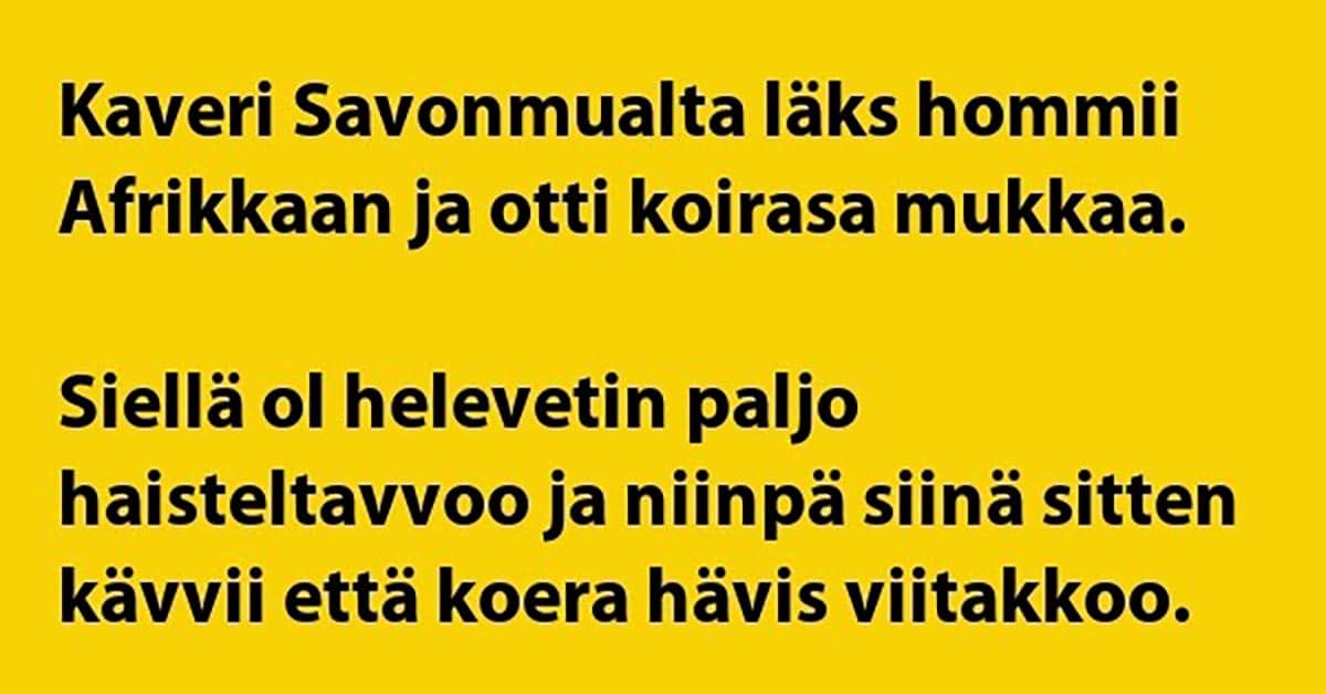 VITSIT: Kaveri savonmualta afrikassa – kierot keinot otetaan heti käyttöön
