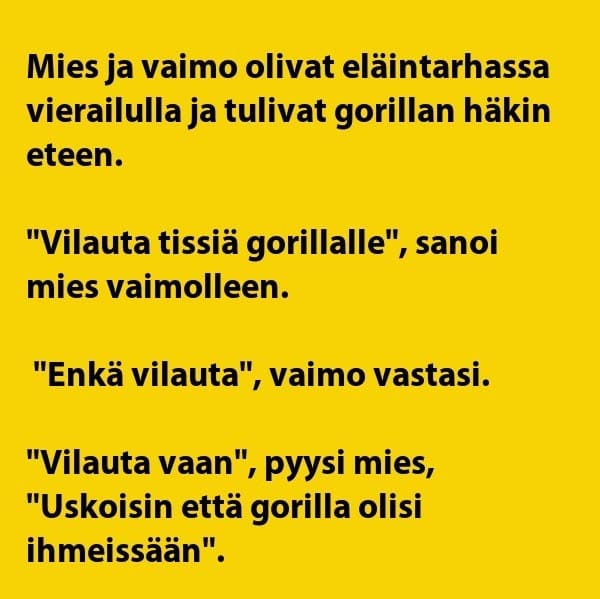 VITSIT: Pariskunta eläintarhassa – nainen vilauttaa gorillalle ja selitys on paikallaan