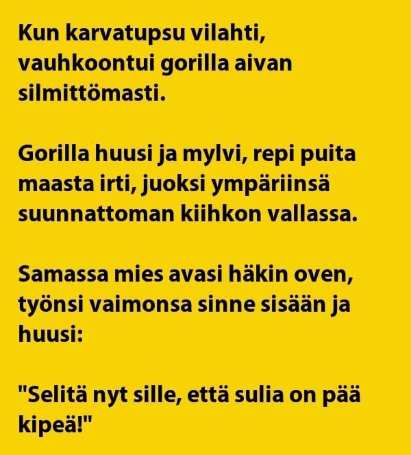 VITSIT: Pariskunta eläintarhassa – nainen vilauttaa gorillalle ja selitys on paikallaan