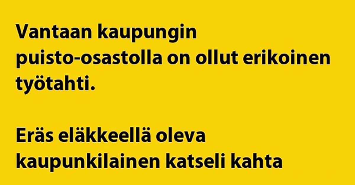 VITSIT: Kaupungin työntekijät työn touhussa – kuvio menee sekaisin, mutta hommat jatkuu