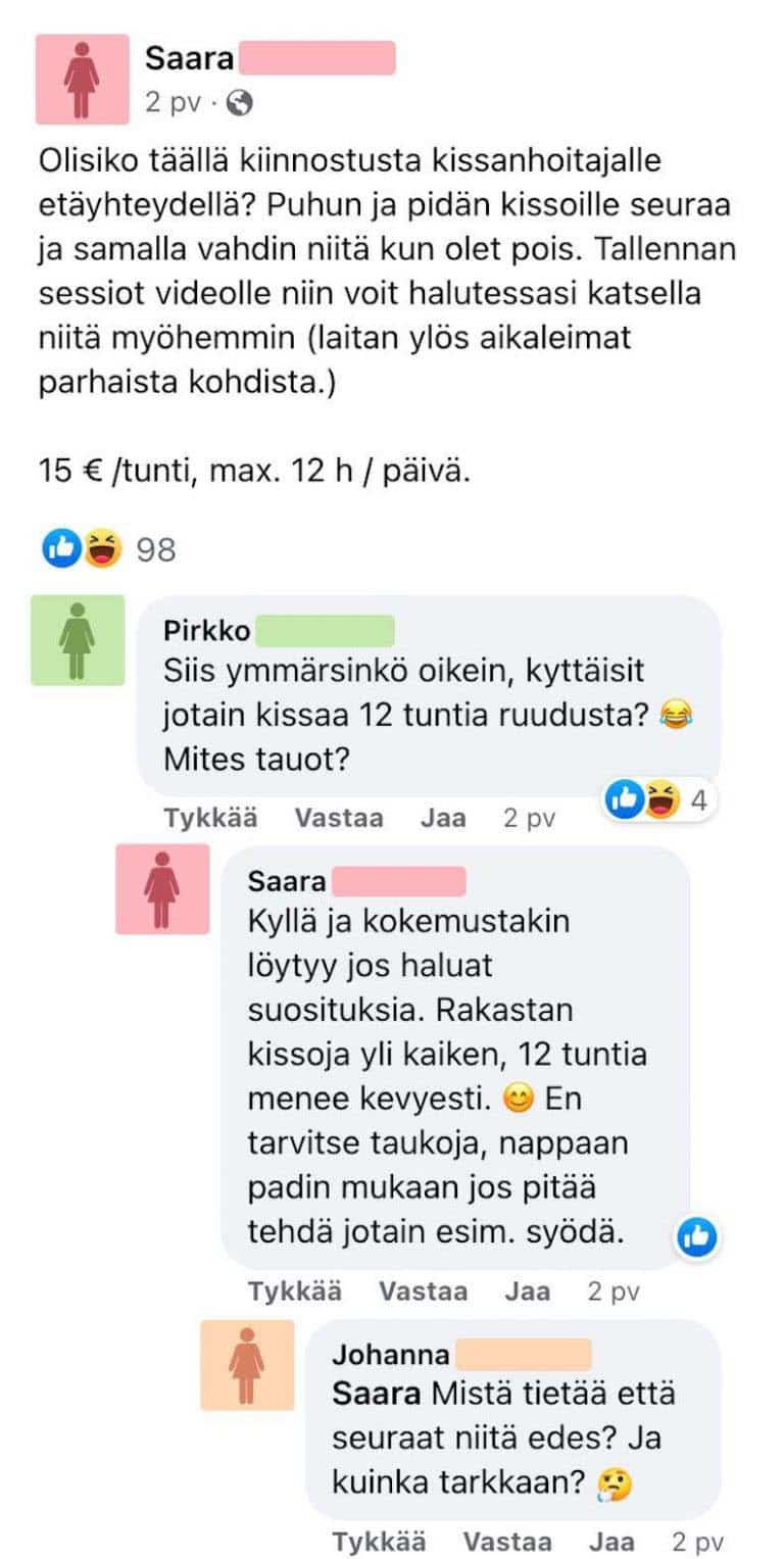 Nainen tarjoaa kissanhoitoa etäyhteydellä – kyttäys hämmentää