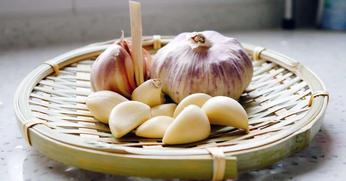 Valkosipulin käsittely ja käyttö – enemmän makua ruokiin